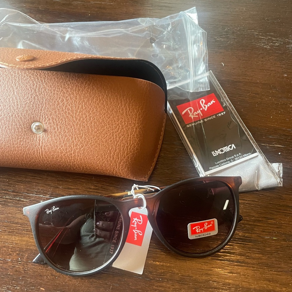Ray-Ban Erika RB4171 sunglasses